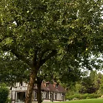 Locations - Domaine Le Coq Enchante Cambremer