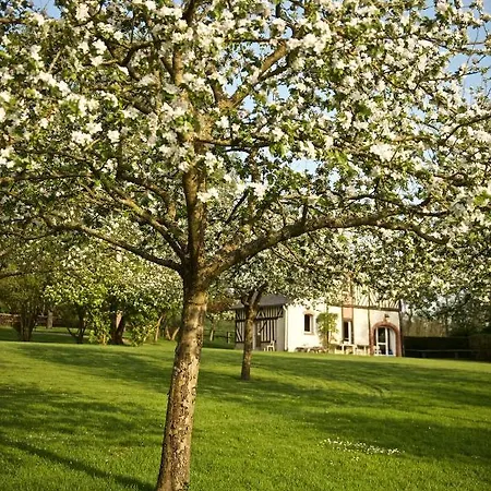 Locations - Domaine Le Coq Enchante