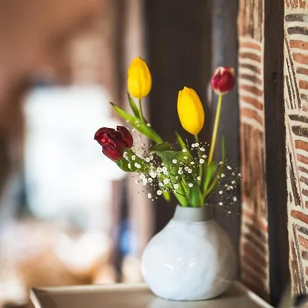 Locations - Domaine Le Coq Enchante