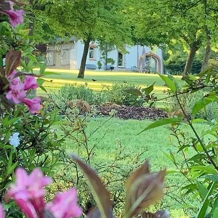 Locations - Domaine Le Coq Enchante *