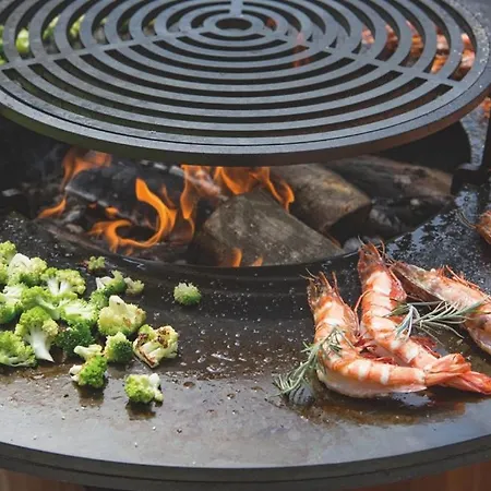 Locations - Domaine Le Coq Enchante *