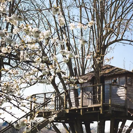 Prázdninový dům Locations - Domaine Le Coq Enchante *