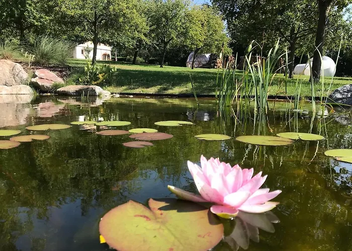 펜션 Locations - Domaine Le Coq Enchante *