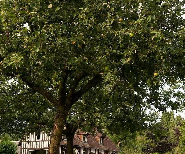 Locations - Domaine Le Coq Enchante 캄브레머