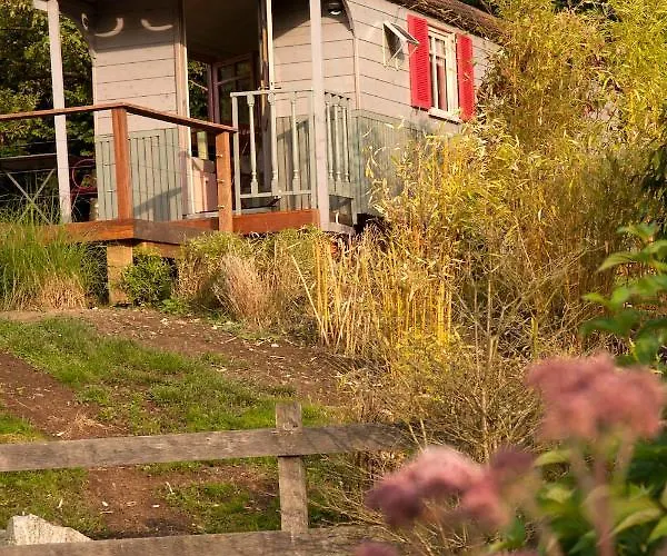 Locations - Domaine Le Coq Enchante 펜션 캄브레머