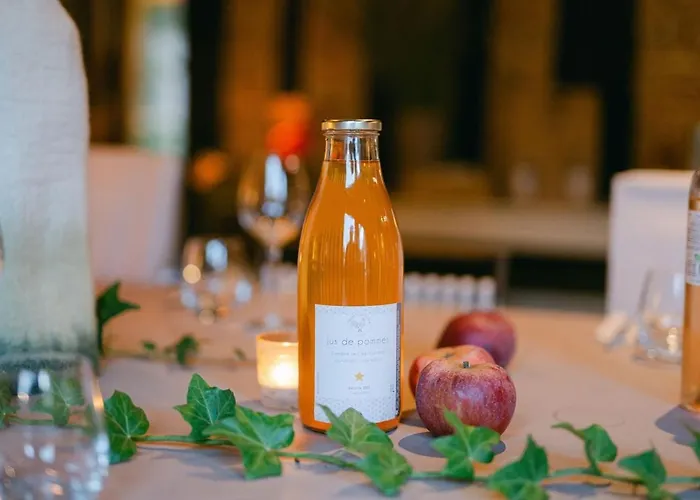 Locations - Domaine Le Coq Enchante 펜션