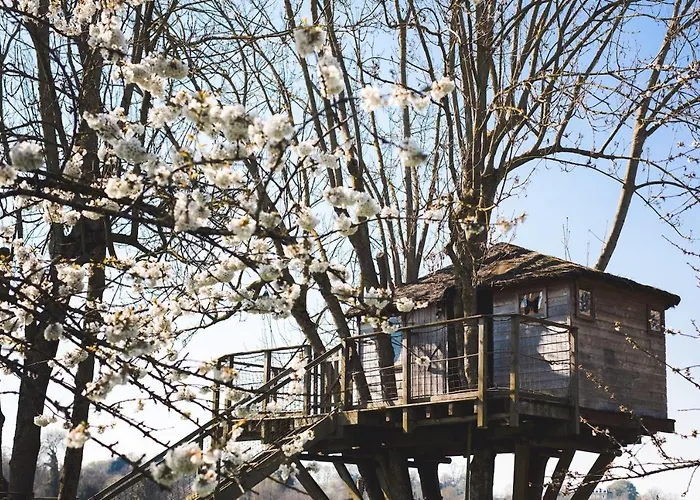 펜션 Locations - Domaine Le Coq Enchante *